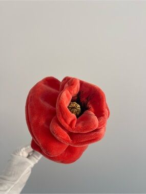 CJ Hendry 1 dusty orange Poppy flower
